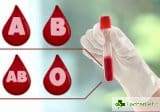 Кръвните групи: Всичко, което трябва да знаем